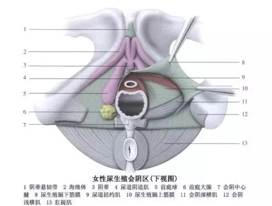 怎样让女生一秒就湿？老司机们快点学学了