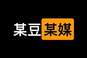 某豆某媒原档学习视频 178部无水印全集 123GB