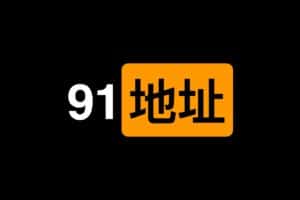 91地址发布页 国内网络直连 低调享用